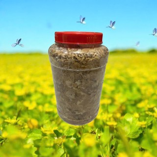 Nhút thập cẩm Anh Sơn Nghệ An – Hũ 1.5kg & 4kg khô nước