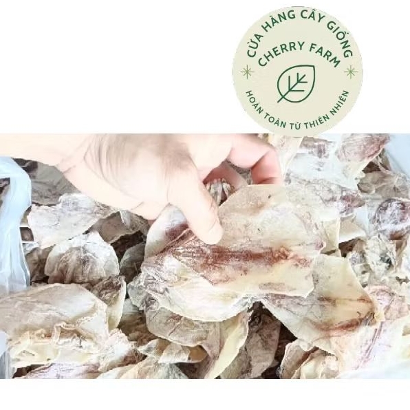 KHÔ MỰC ĐỒNG TIỀ.N ( MỰC BỌT)SHOP TẠI KIÊN GIANG