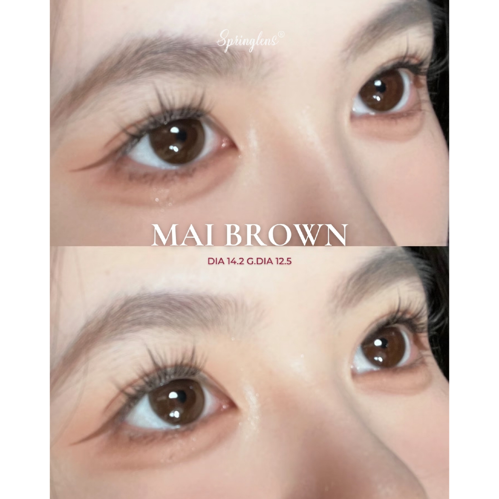 Kính áp tròng Mai Brown nâu hổ phách sữa không giãn 3 tháng 0-7 độ | Spring Lens