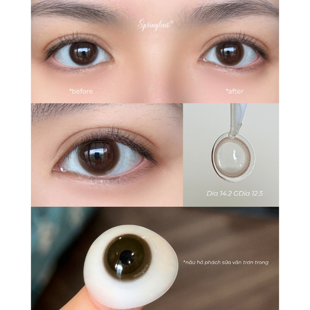 Kính áp tròng Mai Brown nâu hổ phách sữa không giãn 3 tháng 0-7 độ | Spring Lens