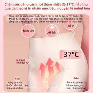 Miếng Dán Thảo Dược Hoa Tuyết Sen Giảm Hôi Ngứa Vùng Kín, Khử Mùi Bạc Hà Thông Thoáng, Chăm Sóc Vùng Kín (2 Miếng/Hộp)