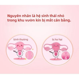 Miếng Dán Thảo Dược Hoa Tuyết Sen Giảm Hôi Ngứa Vùng Kín, Khử Mùi Bạc Hà Thông Thoáng, Chăm Sóc Vùng Kín (2 Miếng/Hộp)
