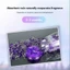 Hộp sáp thơm tinh thể trong suốt – thiết kế hiện đại, dễ dùng, không cần cắm điện