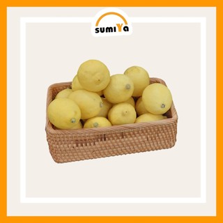 Khay Mây Chữ Nhật Đa Năng Đựng Trái Cây Thực Phẩm Khăn Đồ Dùng Mây Tre Đan Thủ Công - SUMIYA
