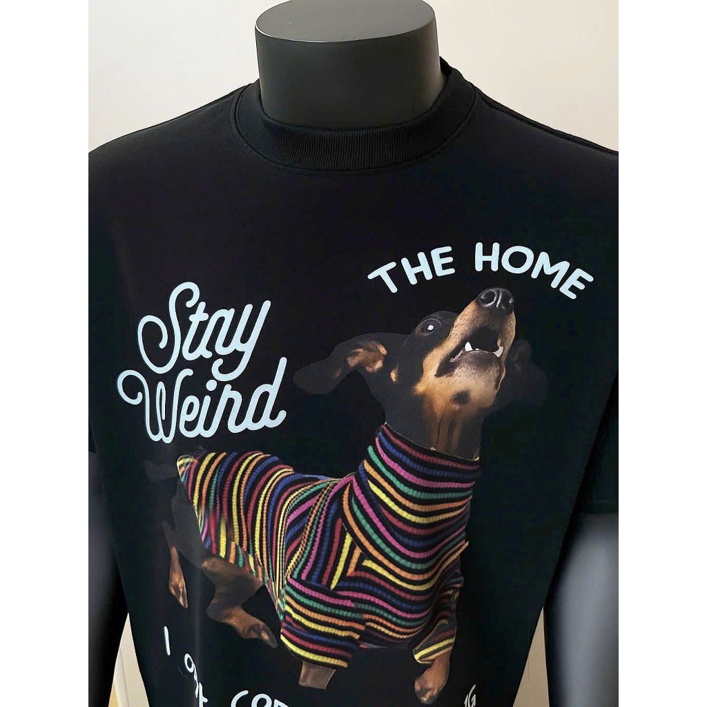 Áo thun Stee Cổ tròn THE HOME Localbrand ICVCVNI Unisex Cotton