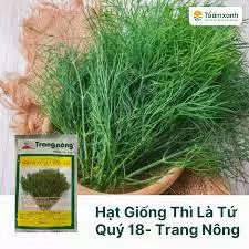 HẠT GIỐNG THÌ LÀ TỨ QUÝ TN 18 - CHÍNH HÃNG TRANG NÔNG ( DATE LUÔN MỚI NHẤT)