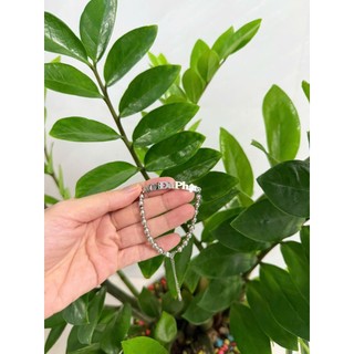 Lắc tay bi danh hiệu A Di Đà Phật, màu silver