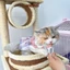 Súp thưởng cho mèo Sốt thịt MeoWow Mumargin