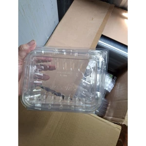 1kg Hộp đựng hoa quả dâu tây nho mận... (đựng thức ăn,hàng đẹp không mùi sự dụng được nhiều lần )