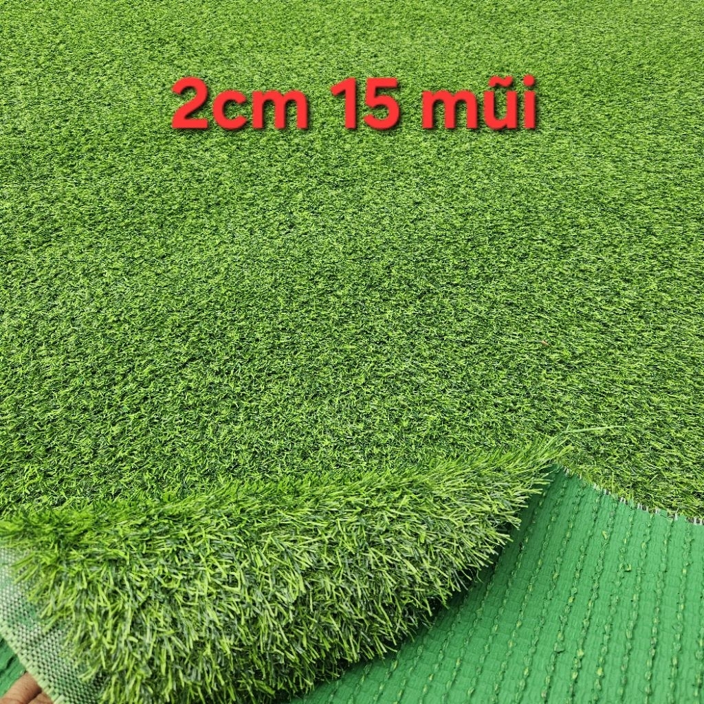 Combo 5m2(2m x 2.5m) Thảm cỏ nhân tạo 2cm mũi khâu dày trải sàn, trang trí sân vườn, sự kiện, vui chơi