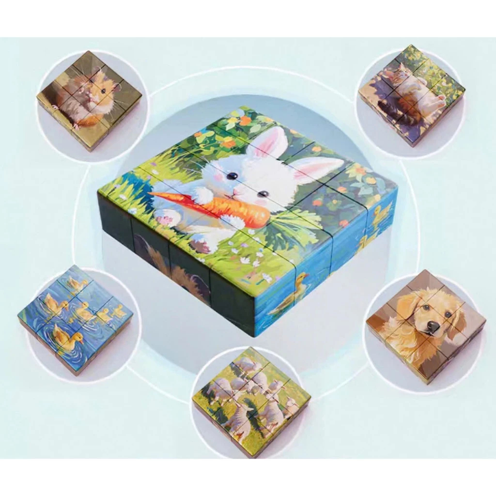 Đồ chơi xếp hình nam châm 6 mặt - 16 khối xếp được 6 hình khác nhau