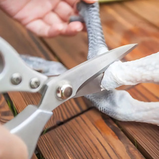 Kéo Cắt Gà, Cắt Đồ Dùng, Cắt Vải Nội Địa Nhật Bản Hàng Cao Cấp