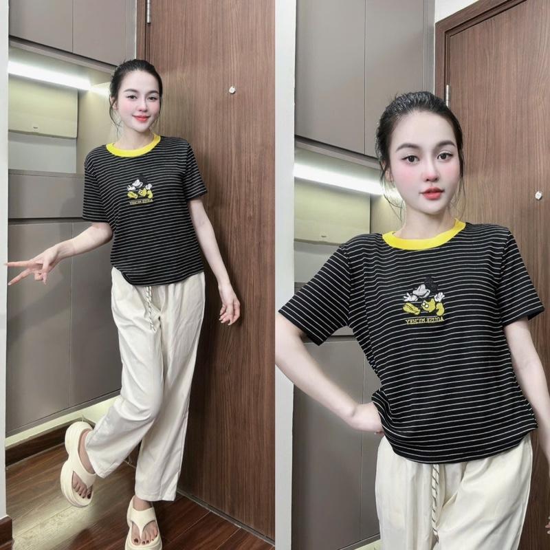 2026. [MIC VÀNG/XANH - QUẦN BAGGY1] Sét áo thun cotton+ quần baggy thô kaki mềm, mát. Đủ size SMLXL 40kg- 70kg