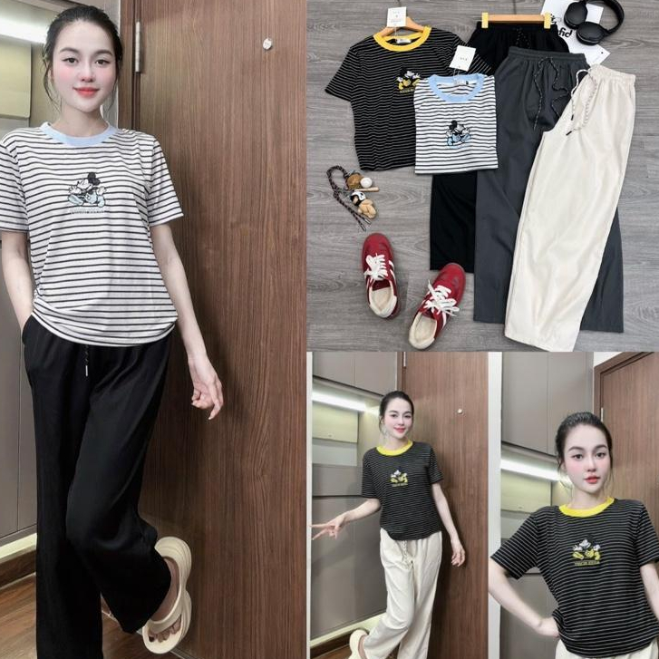 2026. [MIC VÀNG/XANH - QUẦN BAGGY1] Sét áo thun cotton+ quần baggy thô kaki mềm, mát. Đủ size SMLXL 40kg- 70kg