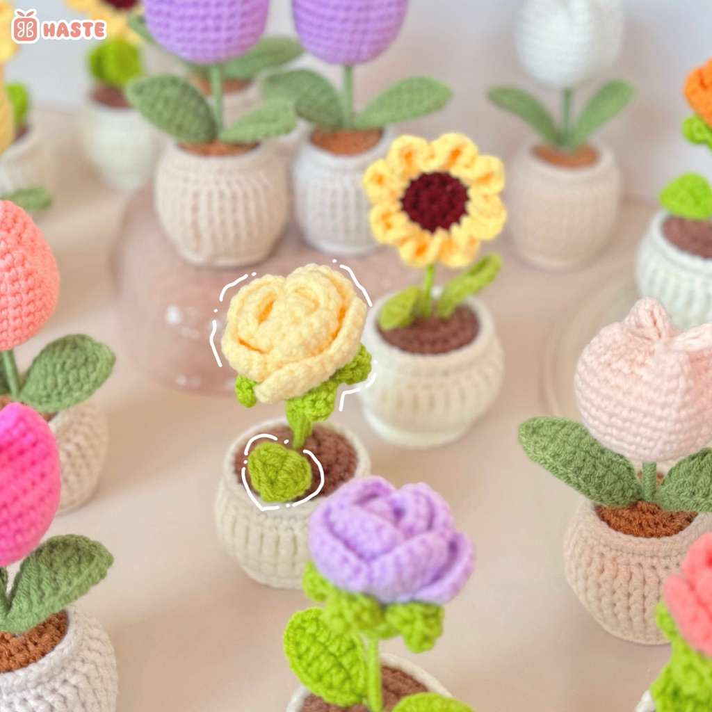 [Loại Nhỏ] Chậu Hoa Len Để Bàn Trang Trí Bàn Làm Việc Bàn Học Dễ Thương Handmade Made by Haste