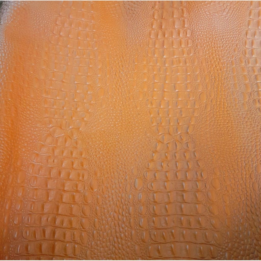 Cá sấu gai patina