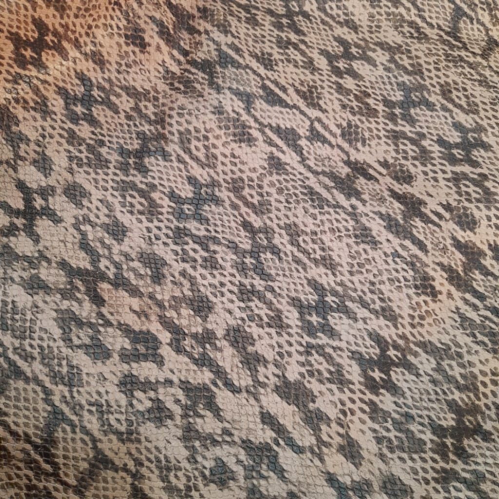 Trăn pastel