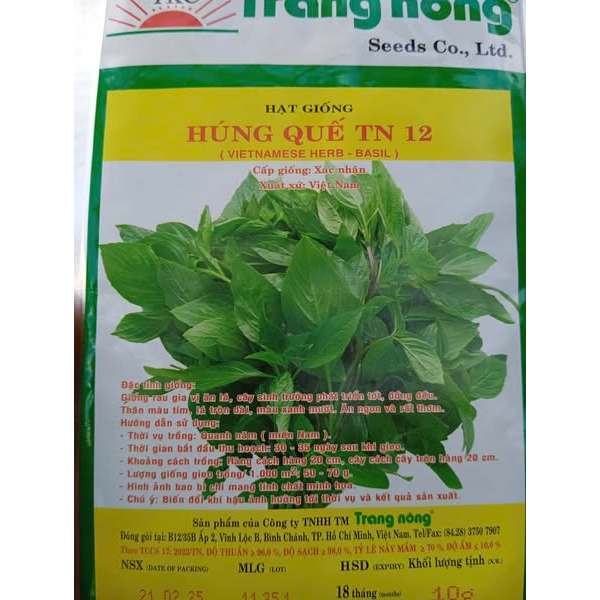 1gr HẠT GIỐNG HÚNG QUẾ TN 12 - CHÍNH HÃNG TRANG NÔNG ( DATE LUÔN MỚI NHẤT), Hạt Nảy Mầm Nhanh, Mạnh, Trồng quanh năm