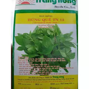 1gr HẠT GIỐNG HÚNG QUẾ TN 12 - CHÍNH HÃNG TRANG NÔNG ( DATE LUÔN MỚI NHẤT), Hạt Nảy Mầm Nhanh, Mạnh, Trồng quanh năm