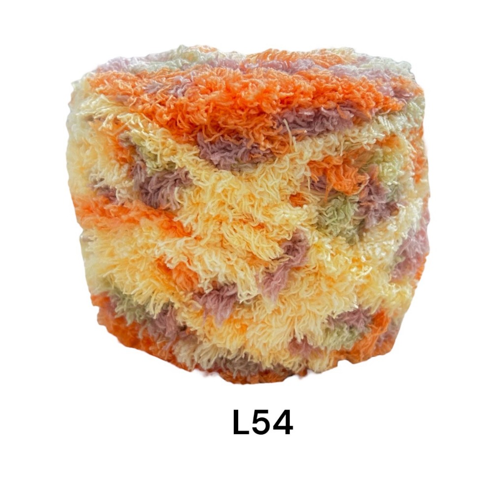 L54