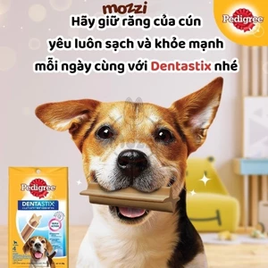 Snack cho chó Xương gặm sạch răng Dentastix Pedigree