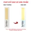 Tinh Chất Dưỡng Môi Torriden Căng Mọng, Cấp Ẩm Solid-In Lip Essence 11ml ThegioiSkinfood