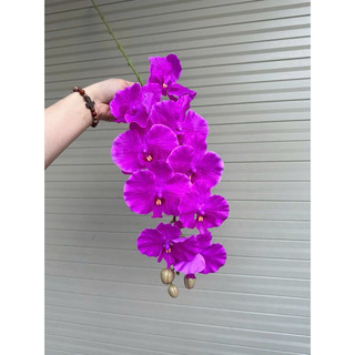 Lan xoan cao su vip hàng loại 1- trang trí bình hoa lan hồ điệp để bàn, phòng khách, caphe, trang trí sự kiện