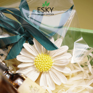 Đá Khuếch Tán Tinh Dầu ESKY Aroma Garden Thạch Cao Lưu Hương Khử Mùi Trang Trí