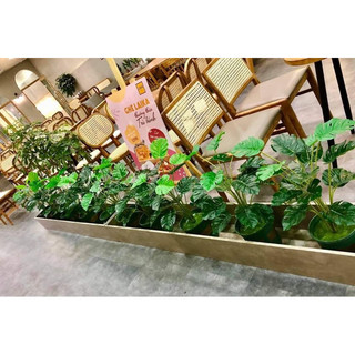 Cây giả decor đủ loại 55cm 12 lá bản lá to ( cây lấy rách, trầu bà,…)