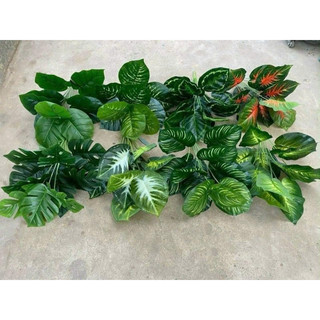 Cây giả decor đủ loại 55cm 12 lá bản lá to ( cây lấy rách, trầu bà,…)