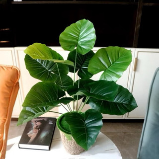 Cây giả decor đủ loại 55cm 12 lá bản lá to ( cây lấy rách, trầu bà,…)