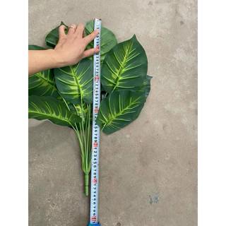 Cây giả decor đủ loại 55cm 12 lá bản lá to ( cây lấy rách, trầu bà,…)