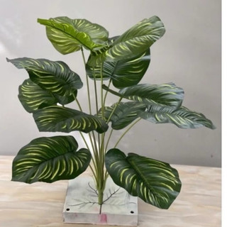 Cây giả decor đủ loại 55cm 12 lá bản lá to ( cây lấy rách, trầu bà,…)