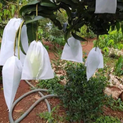 vn 11134207 7ras8 mbi8wjkm1oww58