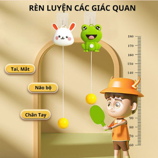 [Kho sỉ] Bộ đồ chơi bóng bàn treo tường mô phỏng luyện tập đánh bóng bàn vận động thể chất trong nhà tăng chiều cao ch