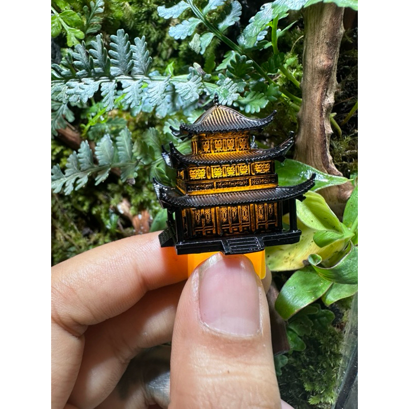 mô hình nhà cổ setup terrarium