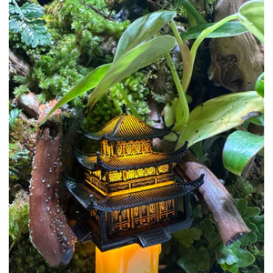 mô hình nhà cổ setup terrarium