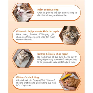 [1KG CHÍNH HÃNG] Hạt Catsrang Bao 5KG Thức Ăn Khô Cám Mèo Cat’s Rang Cho Mèo Mọi Lứa Tuổi Hàn Quốc