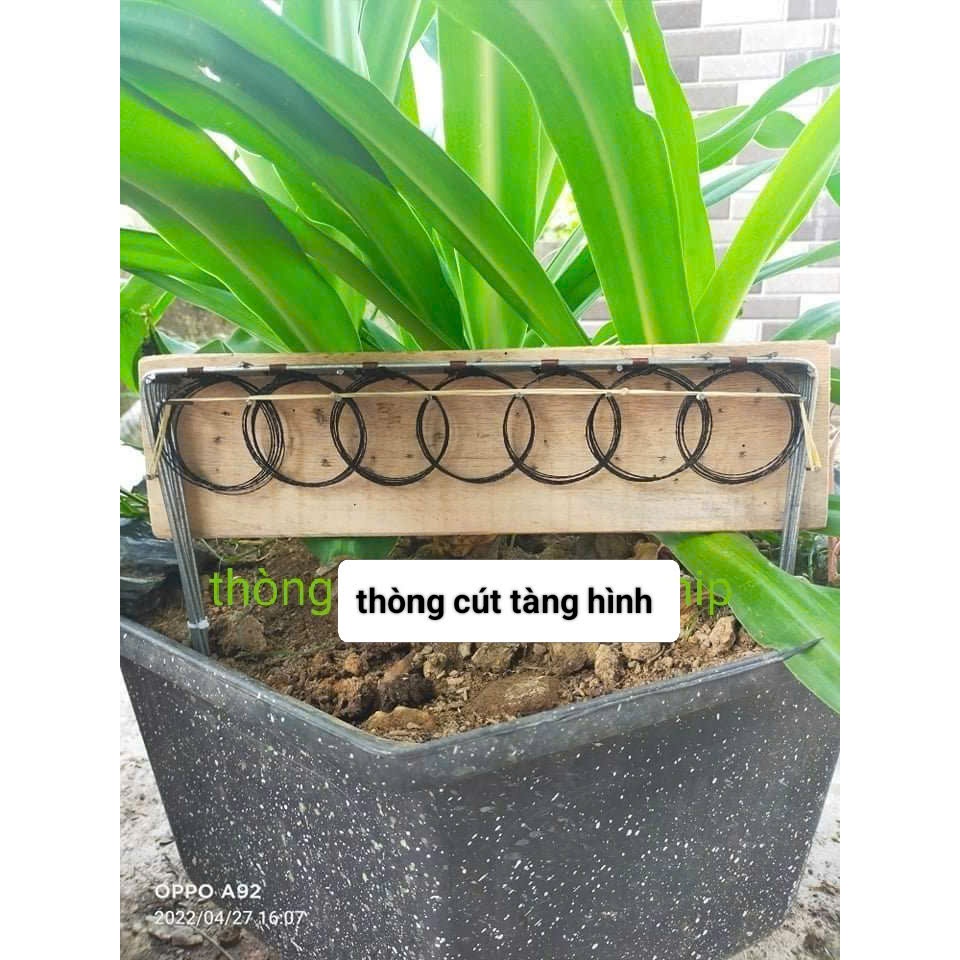 thòng khung bẫy chim cút 1 bộ 7 khung 49 vòng