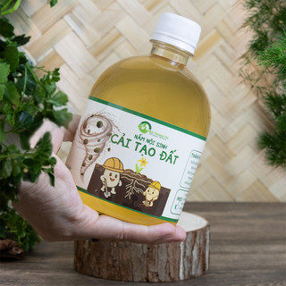 Nhà Thương Cây - Chai CẢI TẠO ĐẤT Nấm nội sinh, phân giải chất khó hấp thụ thành dễ hấp thụ