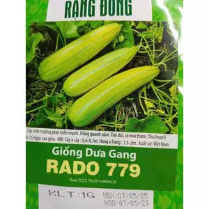 HẠT GIỐNG DƯA GANG RADO 779 - CHÍNH HÃNG RẠNG ĐÔNG ( DATE LUÔN MỚI NHẤT)