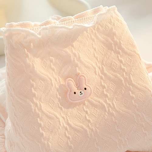 COMBO 5 Quần lót nữ cotton cao cấp thoáng khí họa tiết viền bèo đính nơ 2 bên dễ thương LANIXA L2861