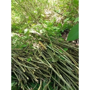 AN XOA TÍM 1kg