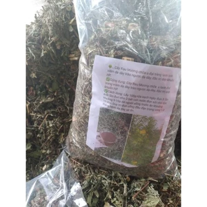 CÂY RAU MƯƠNG 1KG
