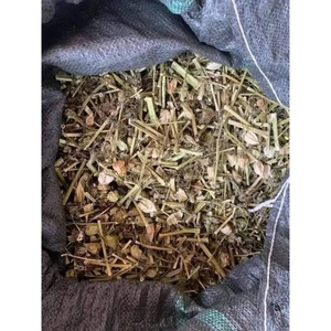 CÂY TẦM BÓP 1KG