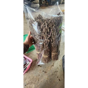 CÂY NHÂN TRẦN 1KG