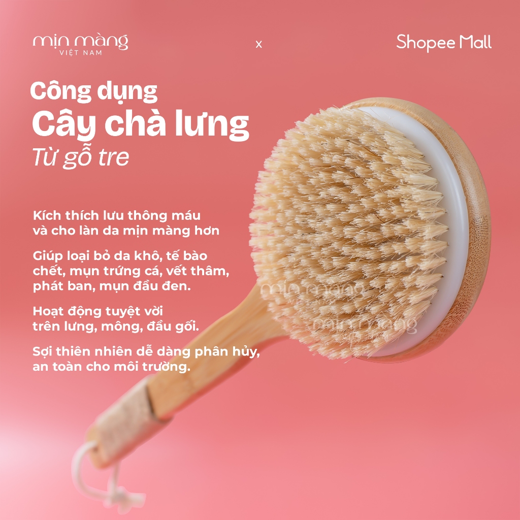 Cây Chà Lưng, Dụng Cụ Cọ Kỳ Tắm, Chải Chà Khô Body Lông Tự Nhiên Tay Cầm Gỗ Tre Kháng Khuẩn