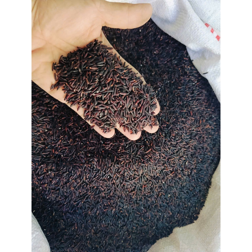 1kg gạo Lứt Tím ST25 hữu cơ giàu dinh dưỡng - tốt cho người tiểu đường, tim mạch, ăn kiêng