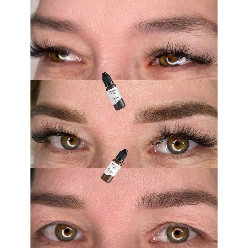 Etalon.Mix siêu phẩm mực mày hữu cơ từ Nga chuyên kéo sợi-lip and brown pigment from Russia for hairstroke