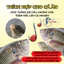Mồi Viên Nước Ngọt HUA Câu Cá Trắm, Chép, Trôi, Diếc,... Dạng Viên Siêu Nhạy MO45 [SF3]